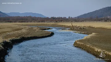 DSC_8200