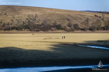 DSC_8358